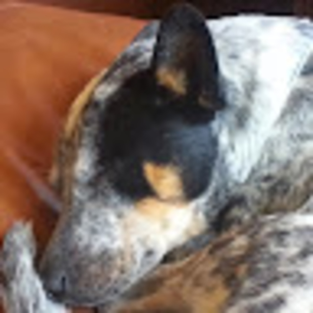 Meet your Posher, Wendy